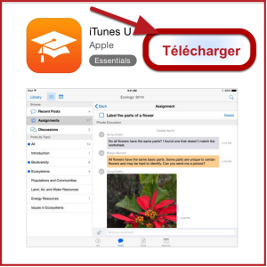 Telecharger Applicatios App Store iOS Telecharger Applicatios App Store iOS Comment créer un identifiant Apple sans carte bancaire