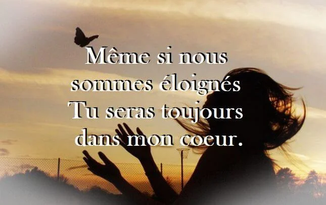 parole damour pour WhatsApp Les Meilleures Photos de Profil WhatsApp 2022 en T&eacute;l&eacute;chargement Gratuit