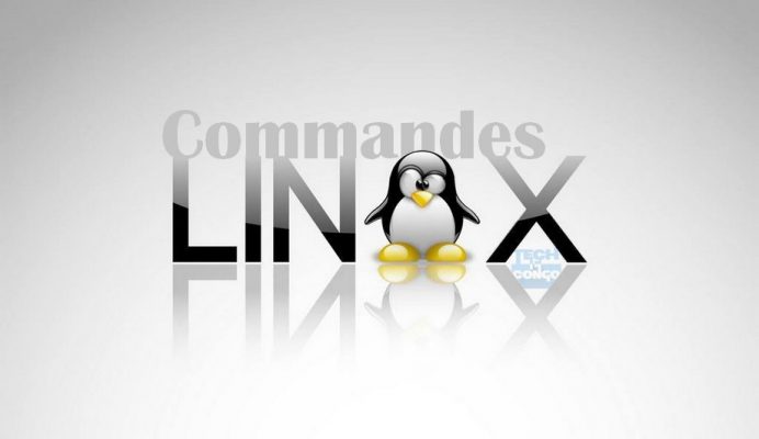 top commandes linux 692x400 Top 15 Commandes Linux que tout Webmaster doit connaitre