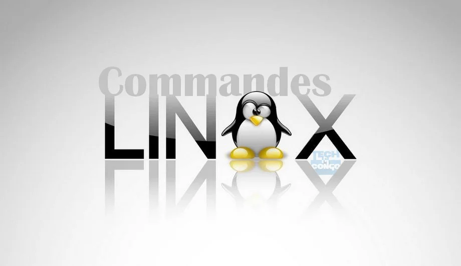 top commandes linux Top 15 Commandes Linux que tout Webmaster doit connaitre