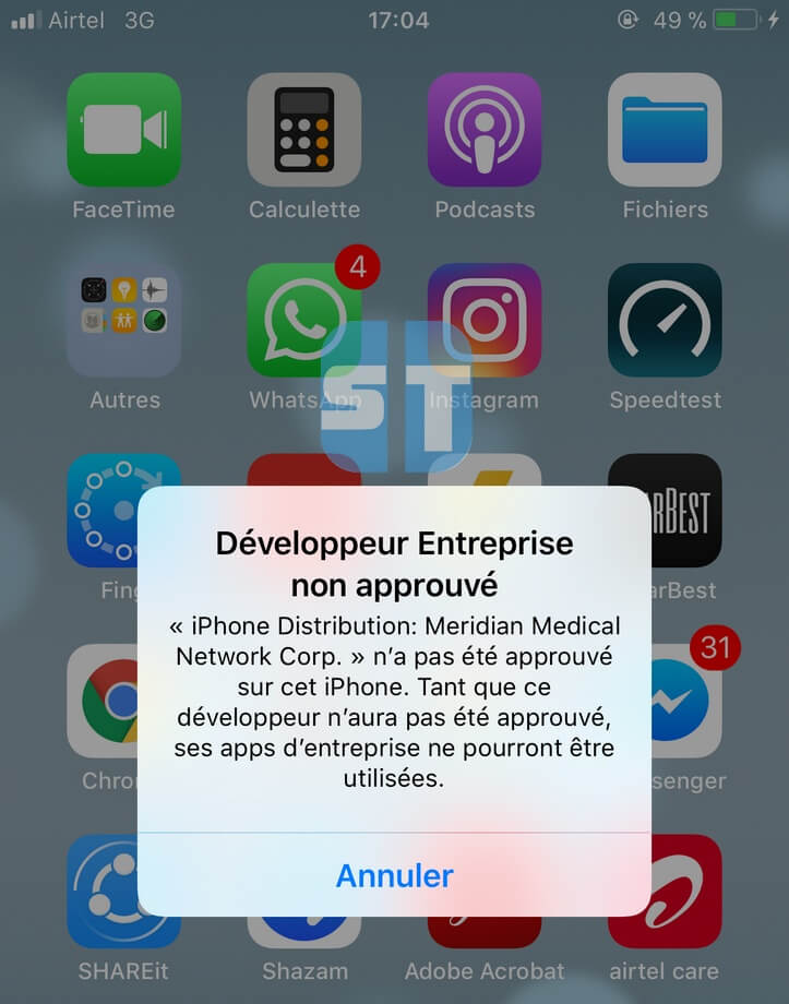 Developpeur Entreprise non approuv%C3%A9 T&eacute;l&eacute;charger et Installer TweakBox sans Jailbreak pour iOS 12 / iOS 11