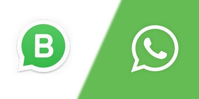 differences whatsapp business whatsapp Télécharger WhatsApp Business pour Android + Comment l’utiliser